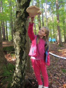 Otroci se v gozdu spremenijo v odlične opazovalce in raziskovalce (foto Lučka Drganc)