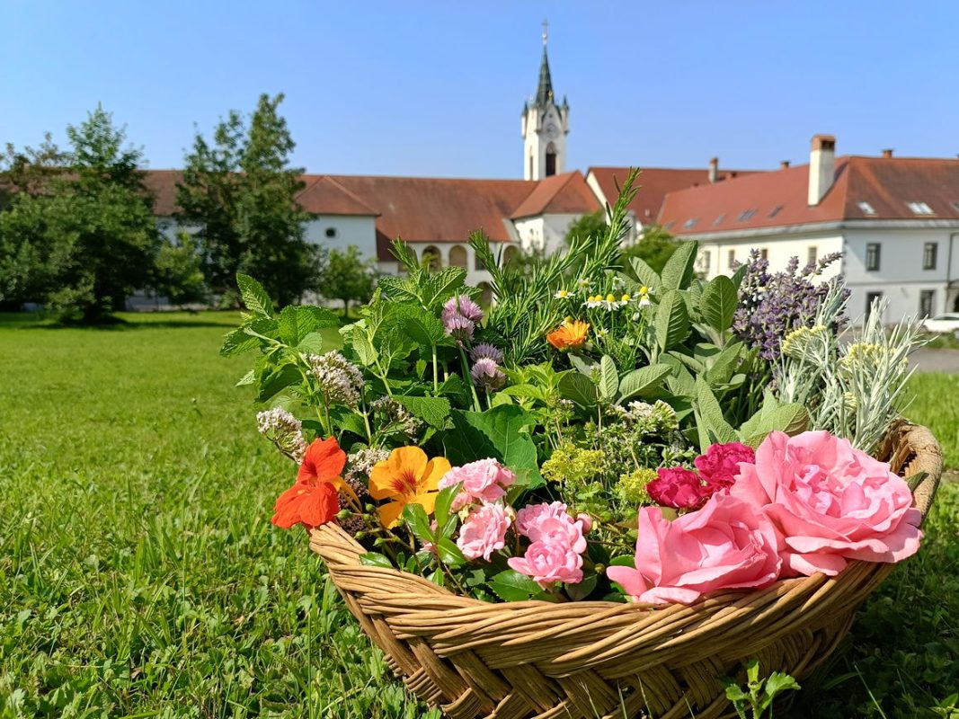 Zeliščarski pripravki, delavnica v samostanu Mekinje